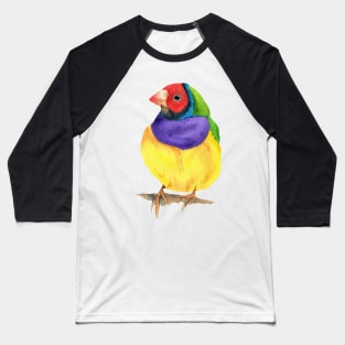 Gouldian finch watercolor Baseball T-Shirt